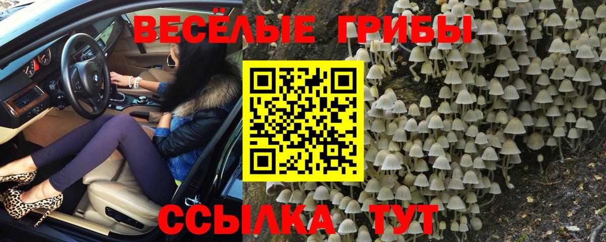Качканар  Галлюциногенные грибы прущие грибы  Вход с VPN 