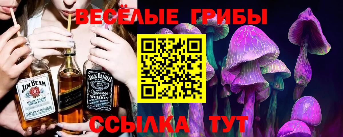 Псилоцибиновые грибы Magic Shrooms Качканар